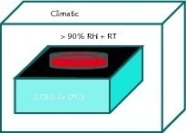 7 Set-up used to evidence primary ­efflorescence