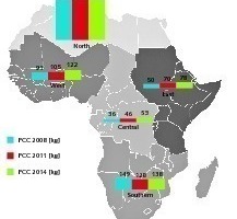 1 Development of the PCC in Africa