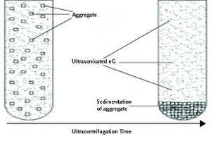 2 Schematic flow showing the progression of sedimentation of nGs inside a tube during ultracentrifugation