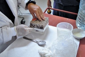 Testing of the samples