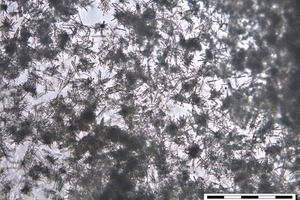 5 β-HH after 60 mins of hydration