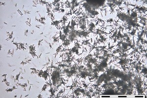 4 β-HH after 12,5 mins of hydration