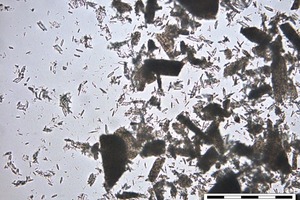 3 β-HH after 5 mins of of hydration