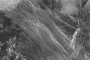 2 SEM image (in aqueous environment) ­dispersing Wollatrop