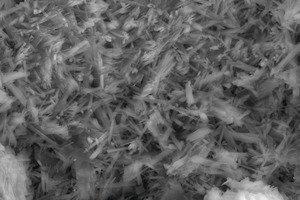 13 β-HH after 60 mins of hydration