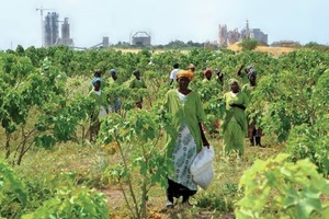 13 Cement plant in Senegal­