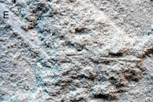 2 Fracture pattern after adhesion test on 5 cm x 5 cm test area that was cut from the centre of a 30 cm x 30 cm wall tile (porcelain stoneware) after 33 months outdoor exposure. (a) Applied by the combined method, 2.1 N/mm2,cohesion fracture. (b) Applied by the floating method, 1.6 N/mm2, adhesion fractures at the engobe (E) with cohesion fractures in between. Hollows (generated by toothed trowel) are marked with an H