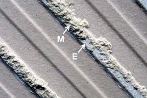 1 Typical example of an engobe acting as an adhesion promoter. Detail of a fracture pattern after an adhesion test (1.7 N/mm2) on a 5 cm x 5 cm test area that was cut from the centre of a 30 cm x 30 cm wall tile (porcelain stoneware) after seven months outdoor exposure. Application was done by the combined method and mortar residues (M; cohesion fracture) are only apparent along the engobe (E)