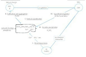 11 Components and their interaction in the coat formation
