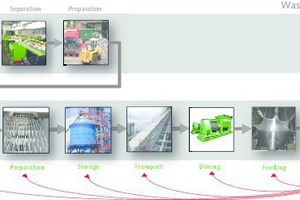 8 The SSC system – systematic classification of plants for handling AFs