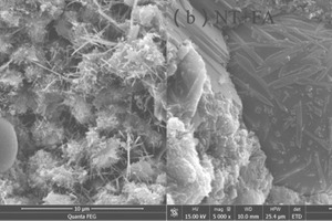 6 Scanning electron microscope (SEM) photographs of samples FA and NT+FA after hydration for 28 d