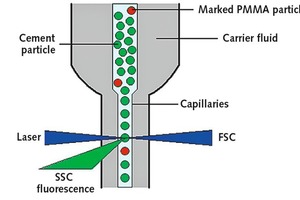 2 Working principle of a flow cytometer