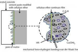 9 Microstructure model of interfacial transition region of thin layer cement paste modified with cellulose ether