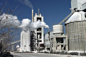 16 Benvid White plant