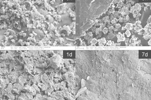 1 Hydration of Celitement after 5 h, 8 h, 1 day und 7 days. The samples were broken under liquid nitrogen and examined by electron microscopy. After a few hours (above), all Celitement-grains are coated by C-S-H. After 7 days, the sample looks ceramic [31]
