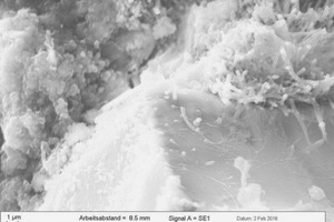 17 SEM-micrograph of a barite grain from ­specimen WVW2