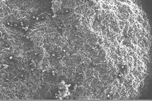 2 Electron micrographs of samples: a) soil cement; b) soil cement with complex additive