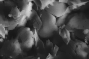 6 Scanning electron micrographs of the reference high belite clinker (plate A) and the high belite clinker I (plate B)