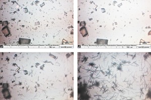 3 Results of in-situ optical microscopy on hydration of a-hemihydrate (1) [W/aHH-ratio: 0.8, Temperature: 23°C]