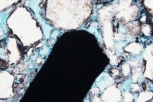 8 Light-optical micrograph of specimen W11