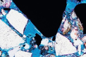 7 Light-optical micrograph of specimen R27