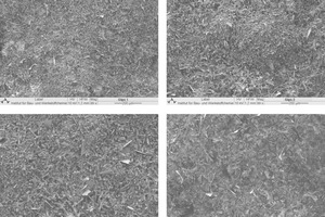 13 SEM-micrographs of a-hemihydrates