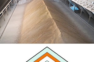 3 Cross-sectional view of a chevron pile