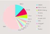 TOP 10 cement groups