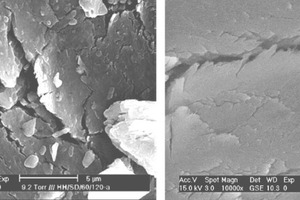 1 The microdefects of gypsum particles