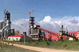 Kalimantan Conch in Indonesia
