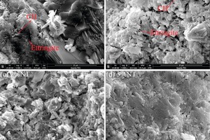 8 SEM images of mortars with different dosage of NT at 28 days