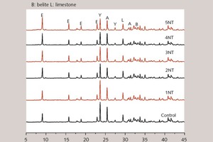 10 X-ray diffraction patterns of SAC with and without NT at 8h