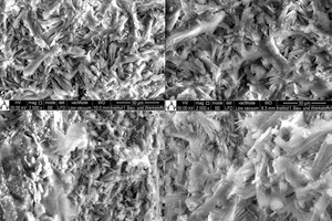 Microstructural analysis of the gypsum stone by SEM after 2-day hydration in the presence and absence of waste water