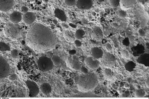 10 SEM micrograph of the fracture face of a thin-bed mortar (zero sample in 50-fold magnification)