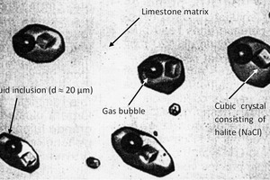 2 Fluid inclusions inside a limestone matrix detected with a scanning electron microscope (SEM)