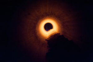 6 Innovative belite production within a rotary kiln