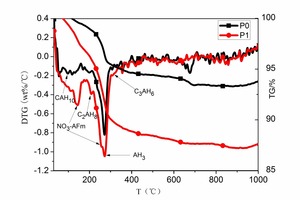 5 DTG and TG curves without Pb(NO3)2 (P0) and with 0.5% Pb(NO3)2 (P1) for 24 h at 20°C