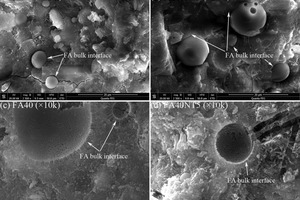 SEM images of FA-cement paste without and with NT addition at 3 days