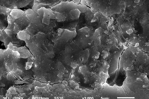 8 SEM micrographs of RS and RS-0.5 %Cu samples cured for 1 day