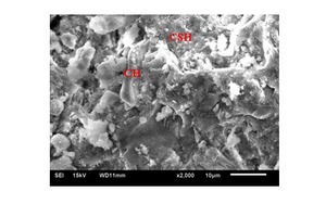 9 Micrograph of 7-day hydrated cement pastes (a) PSC-C-1-55, (b) PSC-A-55