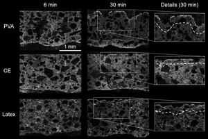 5 Distribution of polyvinyl alcohol (PVA), cellulose ether (CE) and latex across the mortar layer (between uneven concrete substrate and porcelain tile) as a function of exposure time (left column: 6 minutes exposure time, middle column: 30 minutes exposure time, right column: details). For further explanations see text