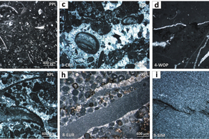 Petrographic analysis of carbonate rocks
