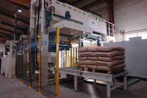 Pacpal Palletizer for Bolivia