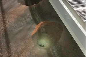 1 In Maryneal the stored bulk material, due to specific conditions, gets stuck (“limestone stuck”) and does not naturally flow through the hoppers