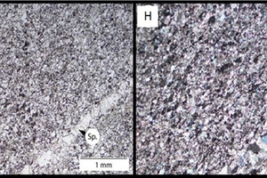 9 Petrographic microscope images of limestone (Zambia) sample Z (4 x magnification (E) plain polarised light and (F) cross polarised light)