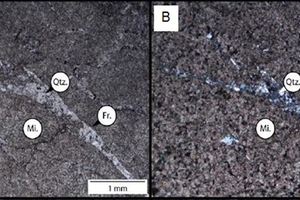 6 Petrographic microscope images of dolomite (Gauteng) sample W (4 x magnification (A) plain polarised light and (B) cross polarised light)