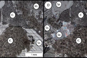 7 Petrographic microscope images of limestone (Northern Cape) sample X (4 x magnification (C) plain polarised light and (D) cross polarised light)