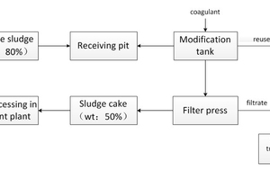 12 Process flowsheet of the Longwangzui sewage sludge project