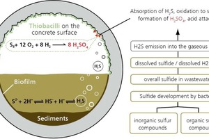 1 Mechanism of MIC corrosion [3, 4, 5] and example of a corroded sewer system