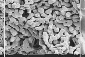 2 SEM analyses of lime samples burnt at 1050, 1450 and 1850°C (from left to right)